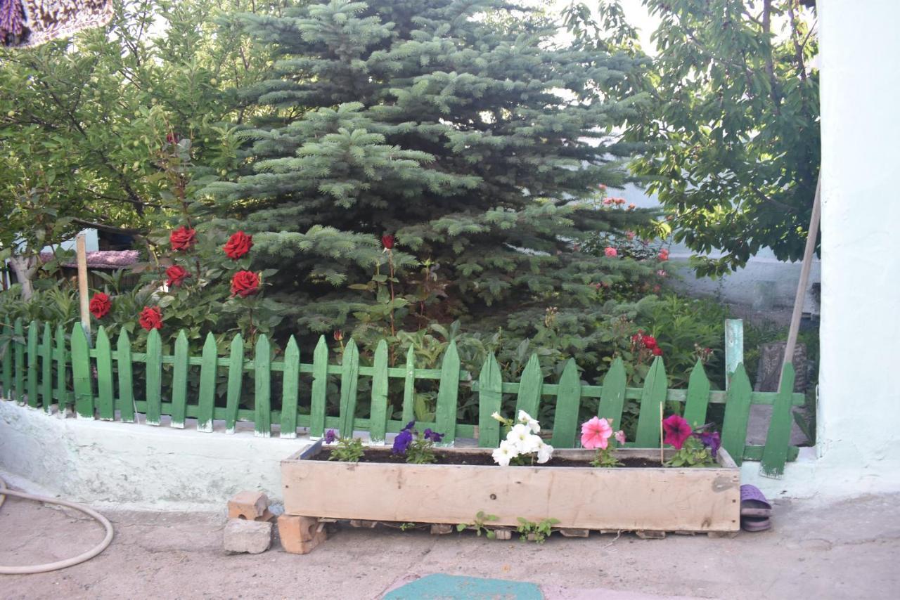 Guest House Oimo Balykchy Экстерьер фото